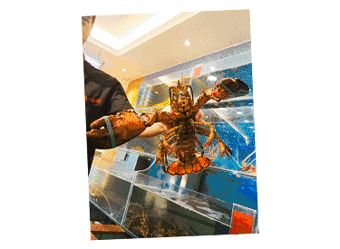 【時代儒商】膠東碼頭海鮮城淮揚(yáng)菜、魯菜、海鮮超多美味！滿足您的味蕾~~