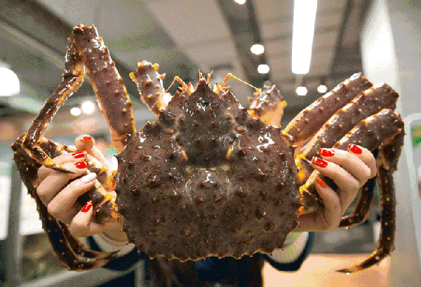 【時代儒商】膠東碼頭海鮮城淮揚(yáng)菜、魯菜、海鮮超多美味！滿足您的味蕾~~