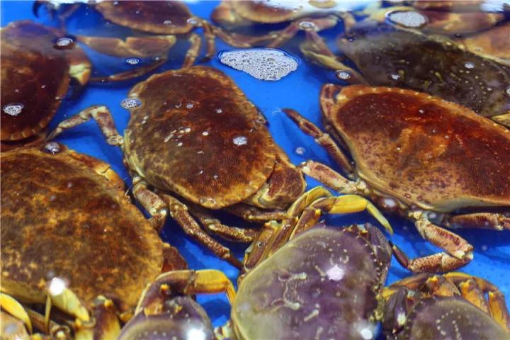 【時代儒商】膠東碼頭海鮮城淮揚(yáng)菜、魯菜、海鮮超多美味！滿足您的味蕾~~