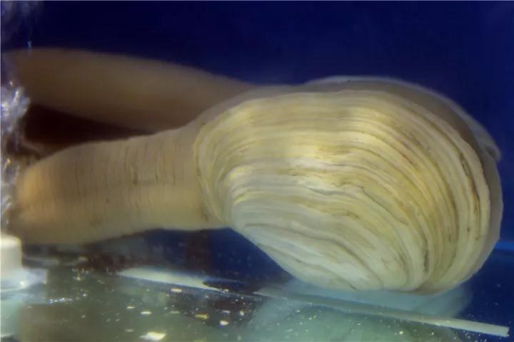 【時代儒商】膠東碼頭海鮮城淮揚(yáng)菜、魯菜、海鮮超多美味！滿足您的味蕾~~