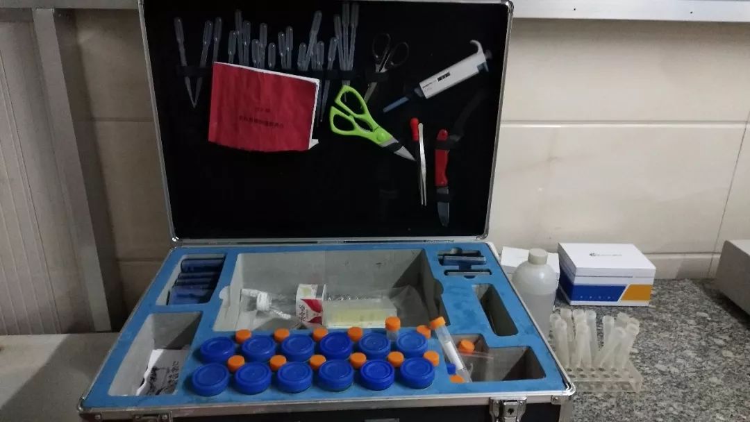 新時(shí)代商廈｜誠(chéng)信315 信用讓消費(fèi)更放心！