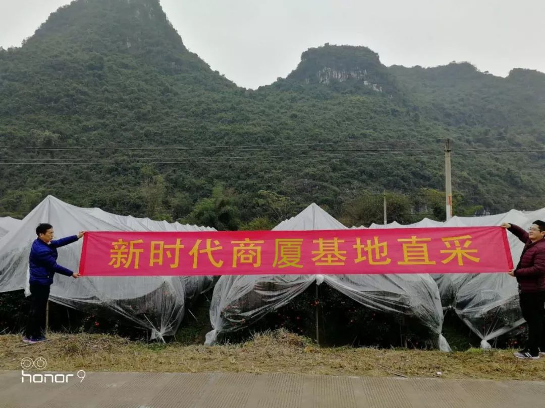 新時(shí)代商廈｜誠(chéng)信315 信用讓消費(fèi)更放心！