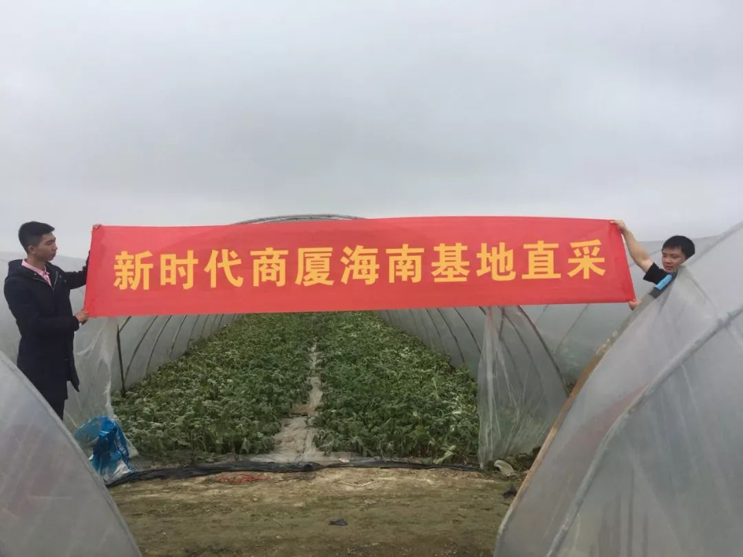 新時(shí)代商廈｜誠(chéng)信315 信用讓消費(fèi)更放心！